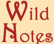 Wild Notes Logo